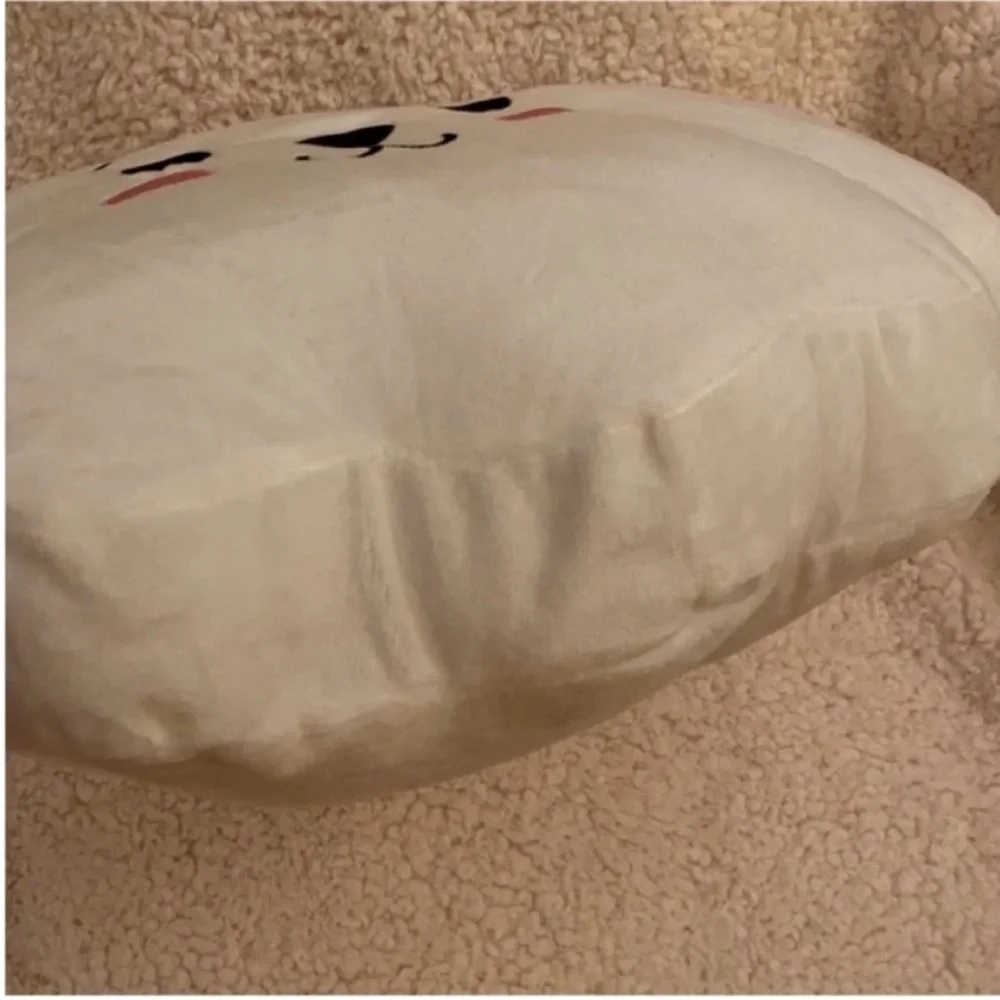 BT21 RJ Pillow